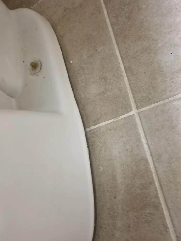 ??????